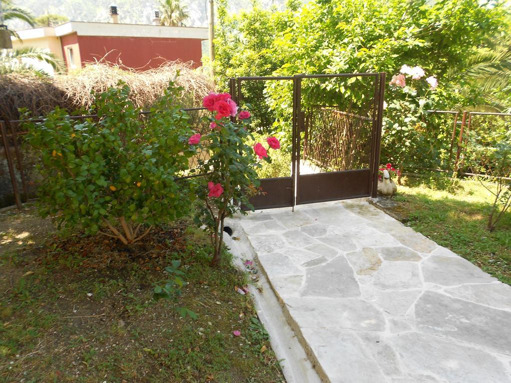 Apartments Samardzic Kotor Zewnętrze zdjęcie